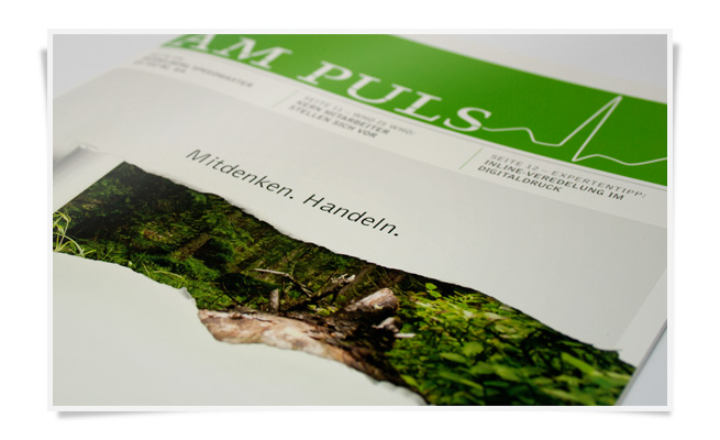 Kern am Puls Ausgabe 01-2012